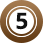 www.vegasflem.com