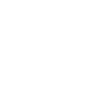 www.vegasflem.com