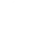 www.vegasflem.com