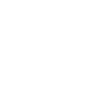 www.vegasflem.com